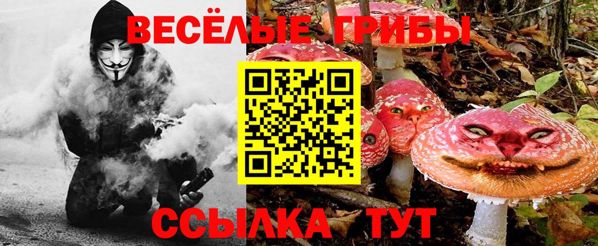 Псилоцибиновые грибы ЛСД Среднеуральск